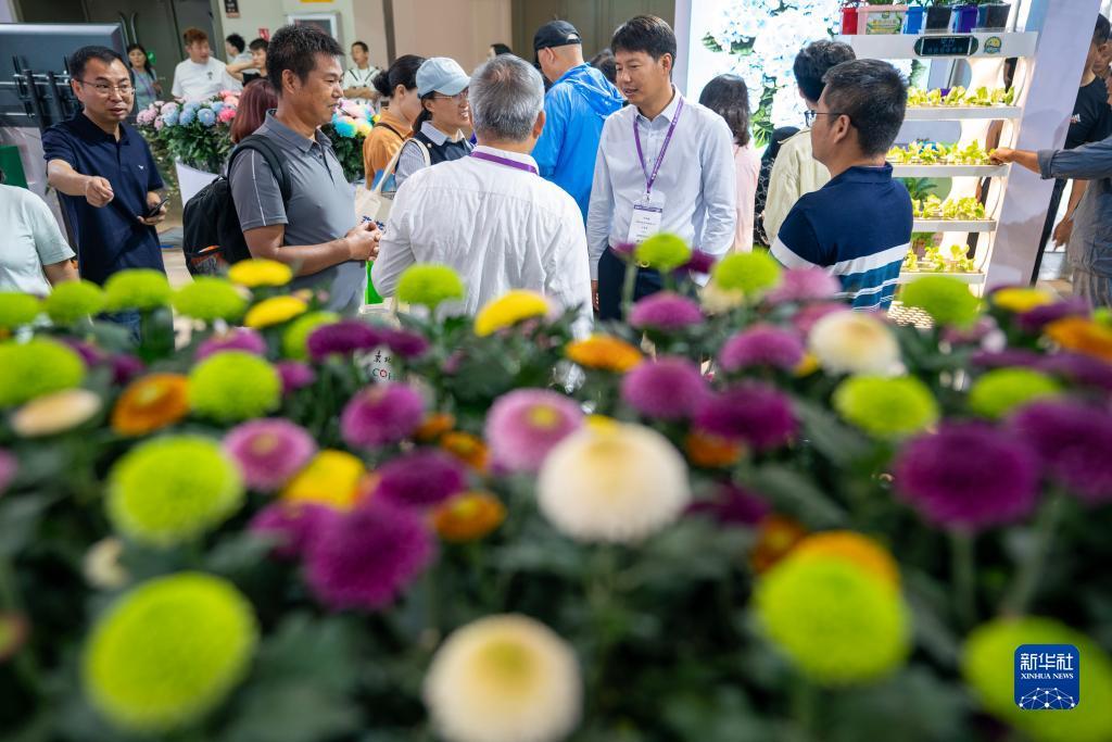 柬埔寨皇冠公司